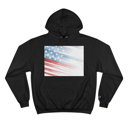 USA Champion Hoodie